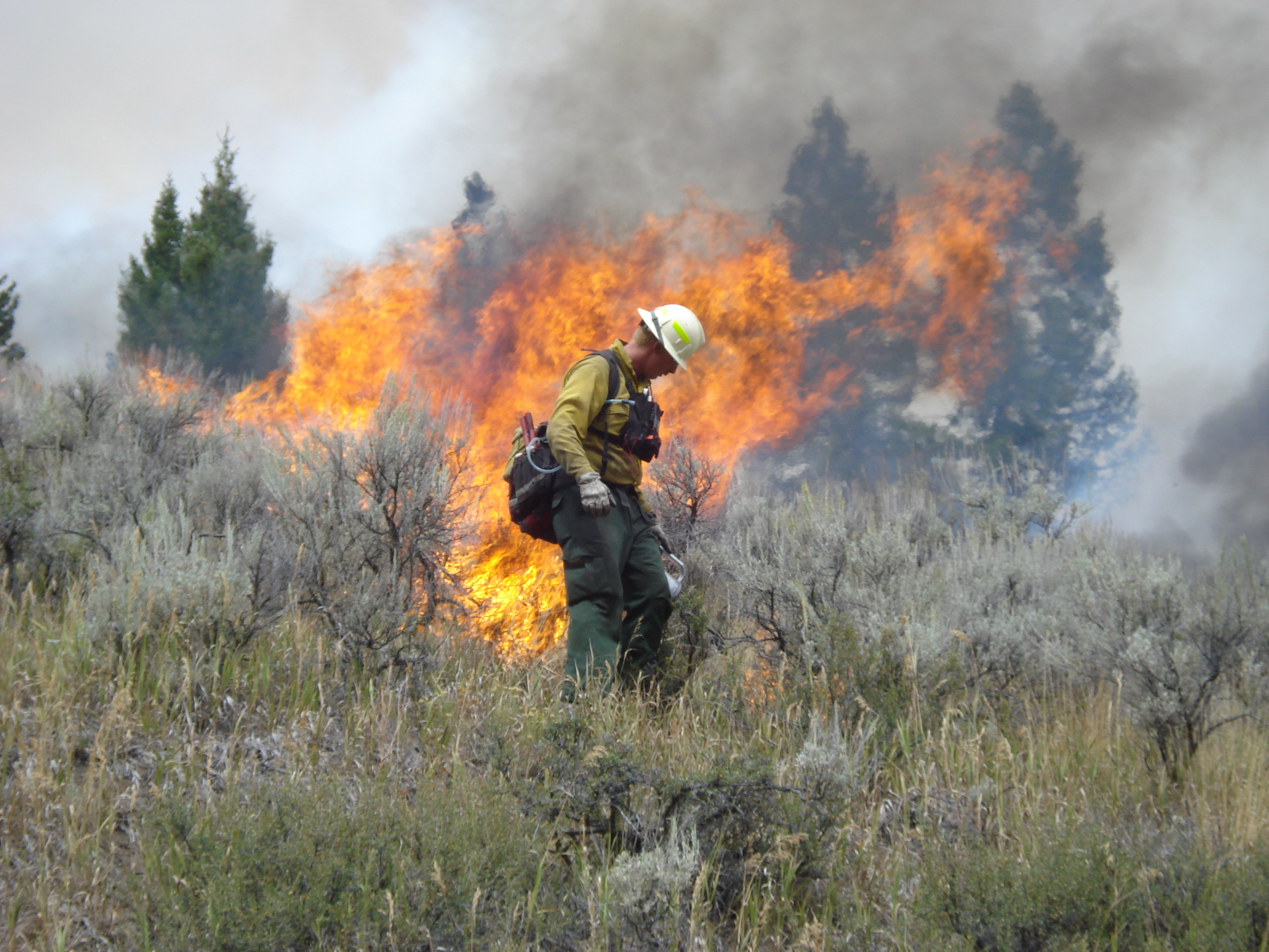 Prescribed Burning