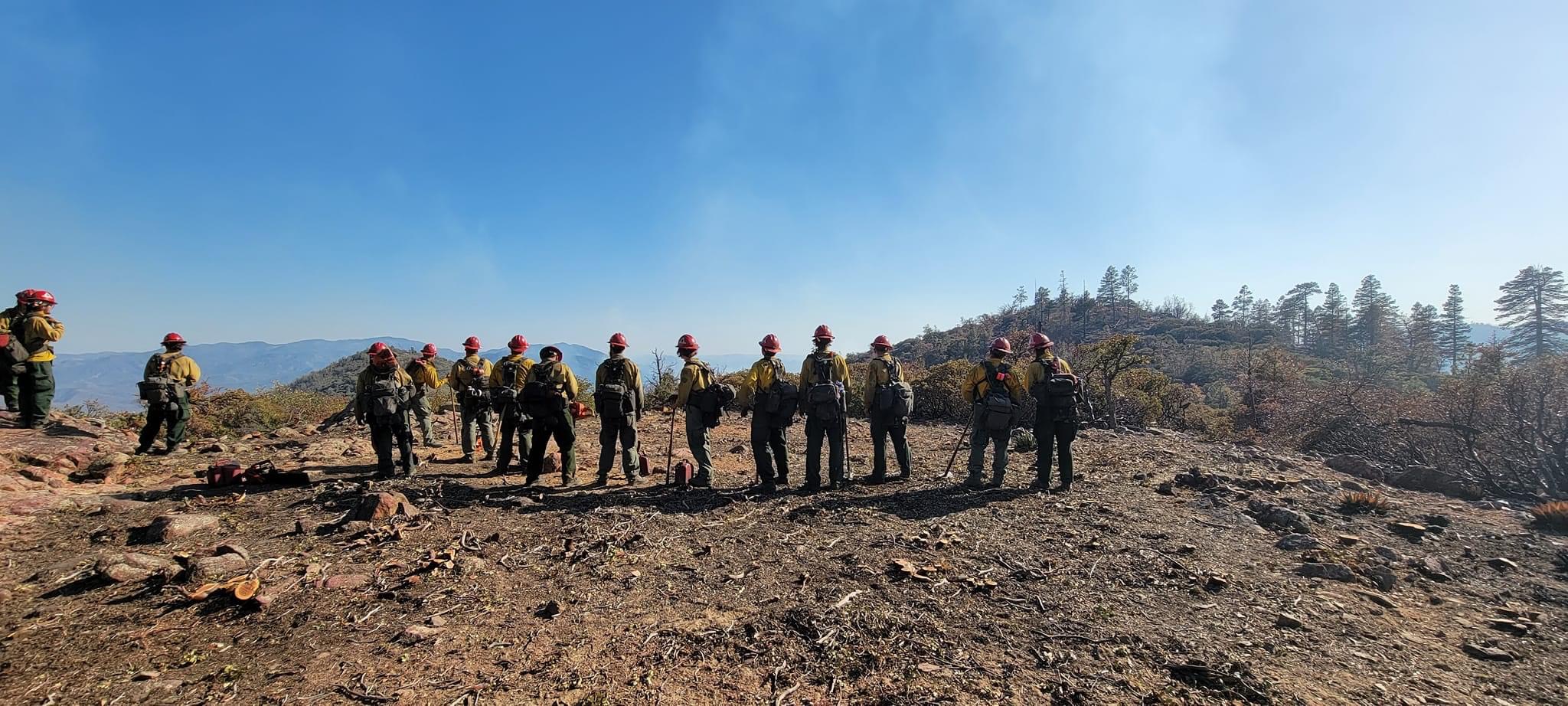 Fire suppression background